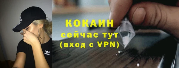 твердый Алексин