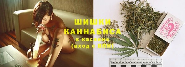 твердый Алексин